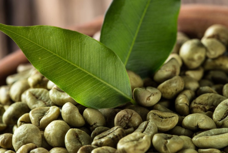 Green Coffee Bean Extract